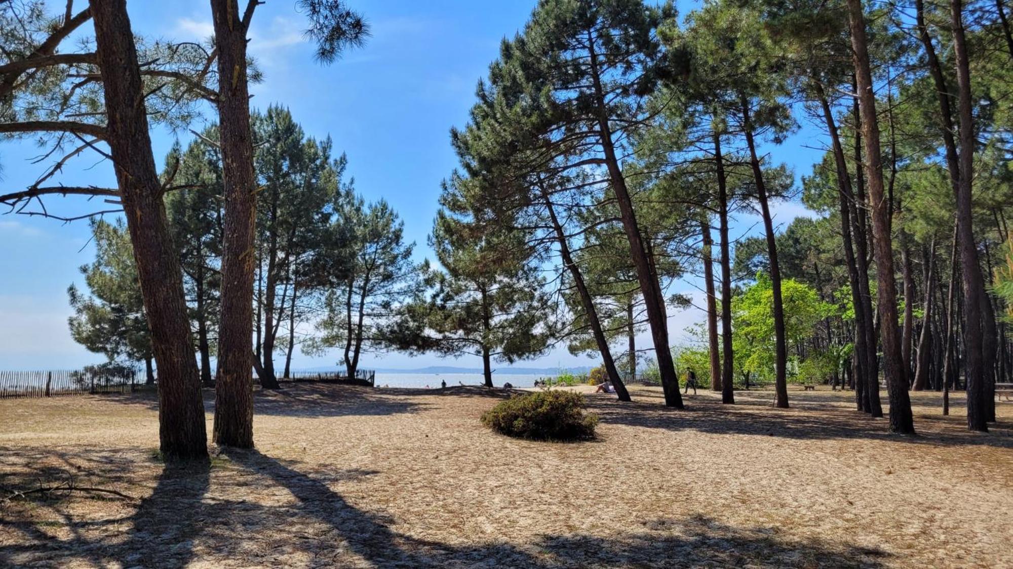 Camping Ares Εξωτερικό φωτογραφία